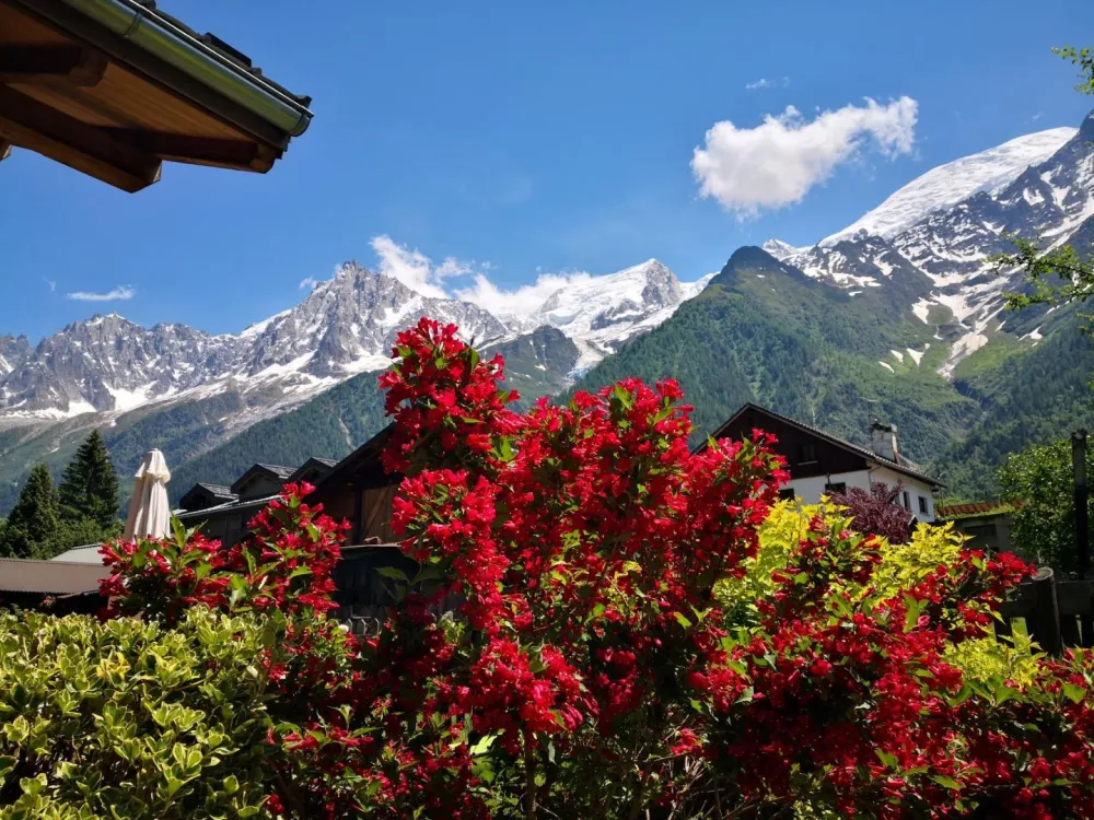 La vue en été