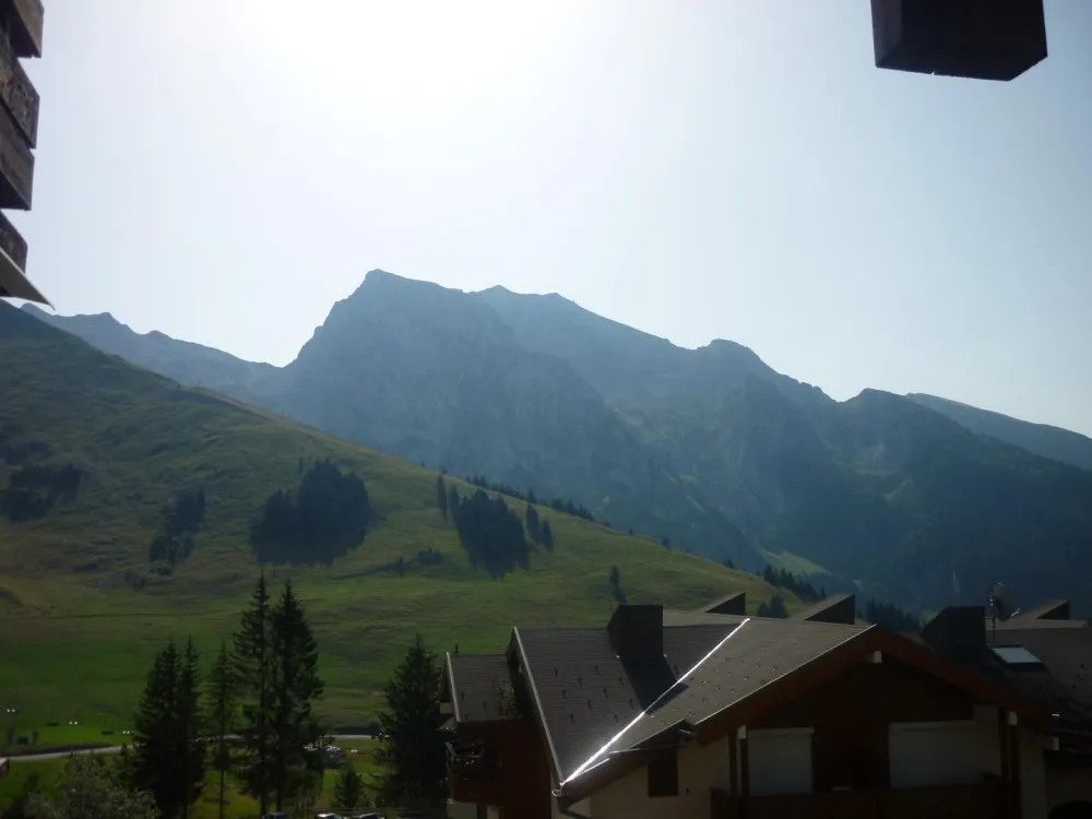 le paysage en été
ETE
