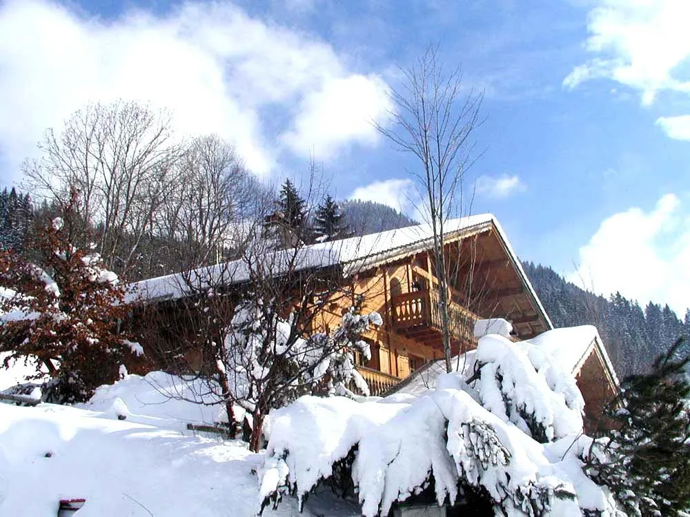 belle chute de neige n janvier