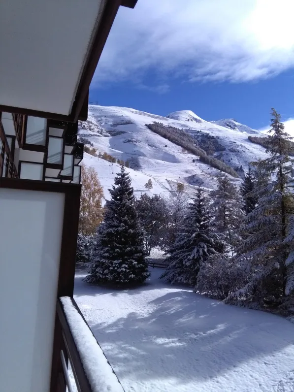 JARDIN COTE  SUD AU PIED DE LA RESIDENCE 5000 M ²