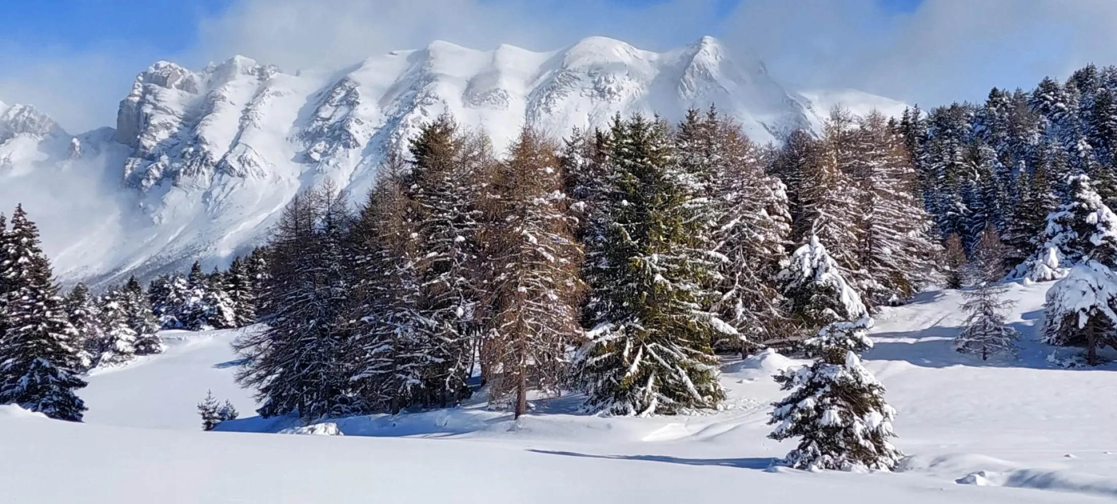 vue de la terrasse l'hiver