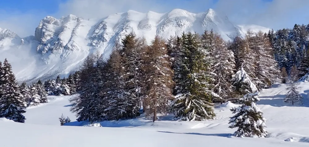 Vue depuis la fenêtre de la cuisine en hiver
