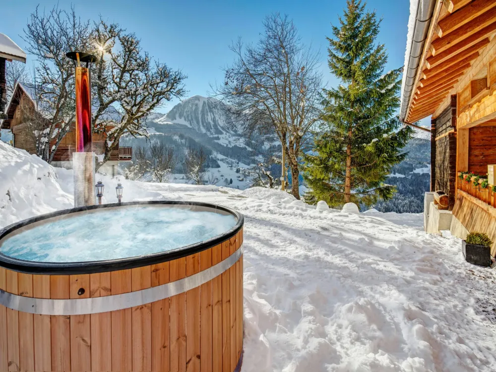 Jacuzzi / Spa