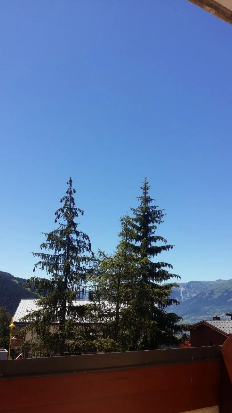 Pied dans la neige - tête au soleil