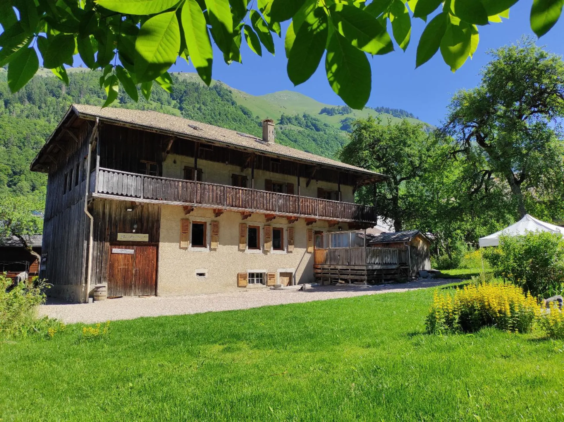 Pelouse et parking devant le chalet en été