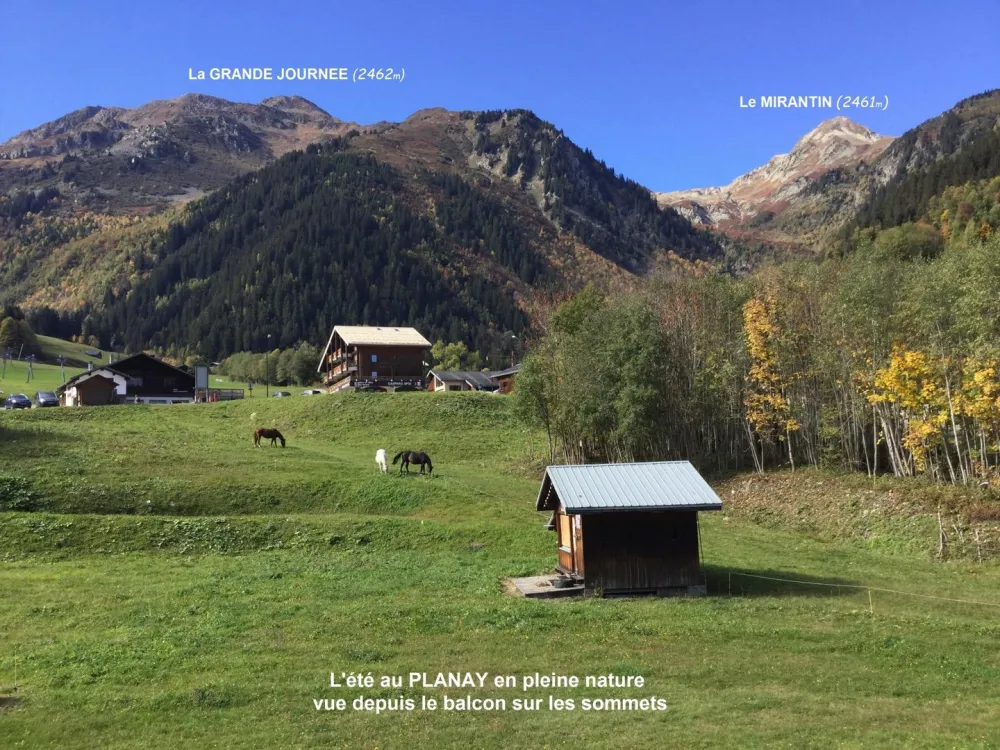 Vue depuis le séjour et la terrasse.