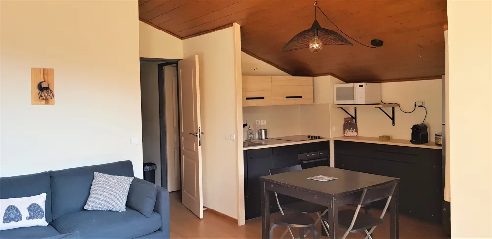 Appartement t3 duplex au pied des pistes