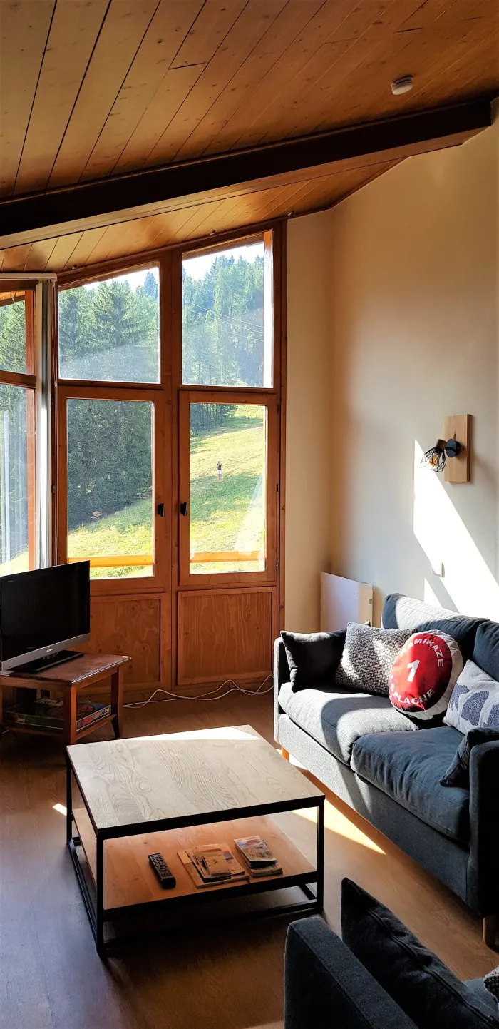 Appartement t3 duplex au pied des pistes