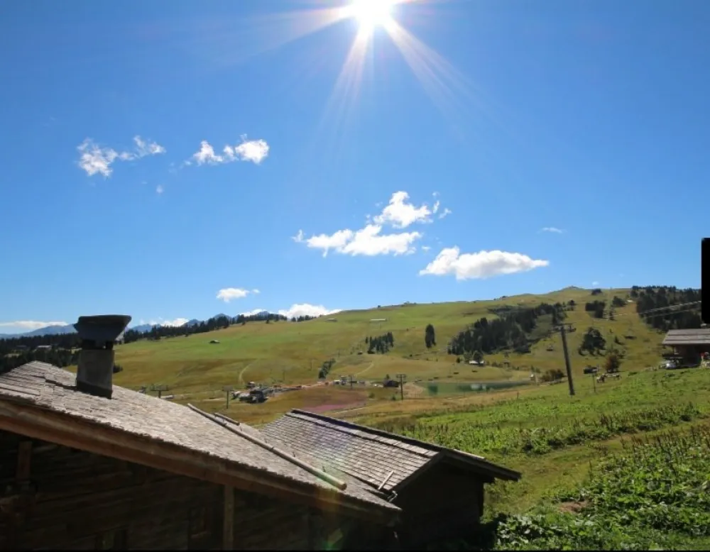 Grand studio sur les pistes aux saisies n°5