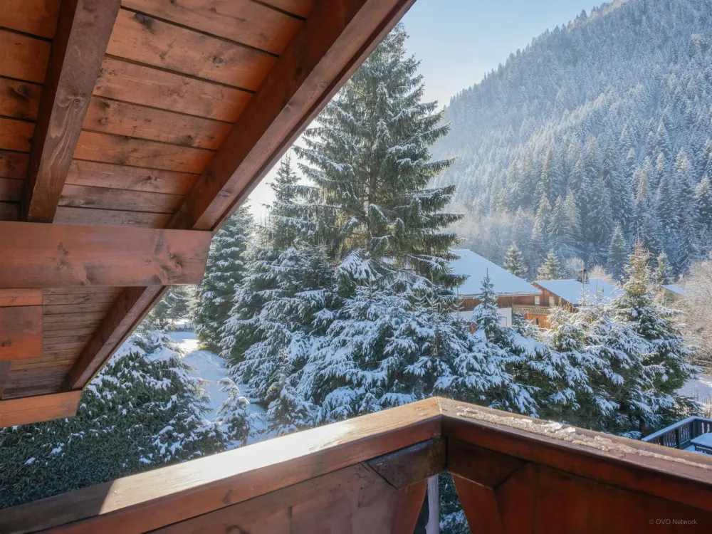 Vue depuis la propriété