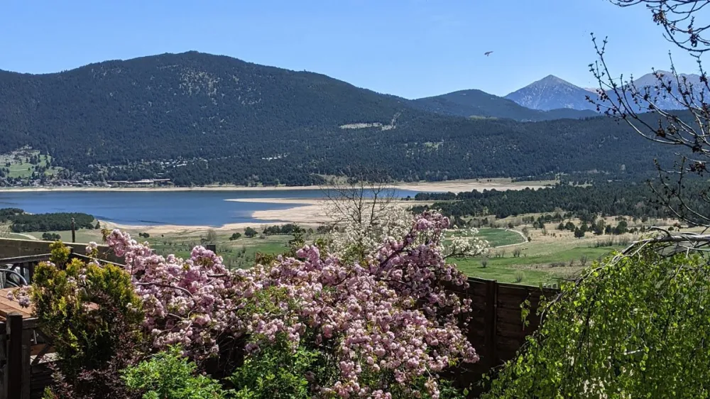 Vue depuis la terrasse au printemps