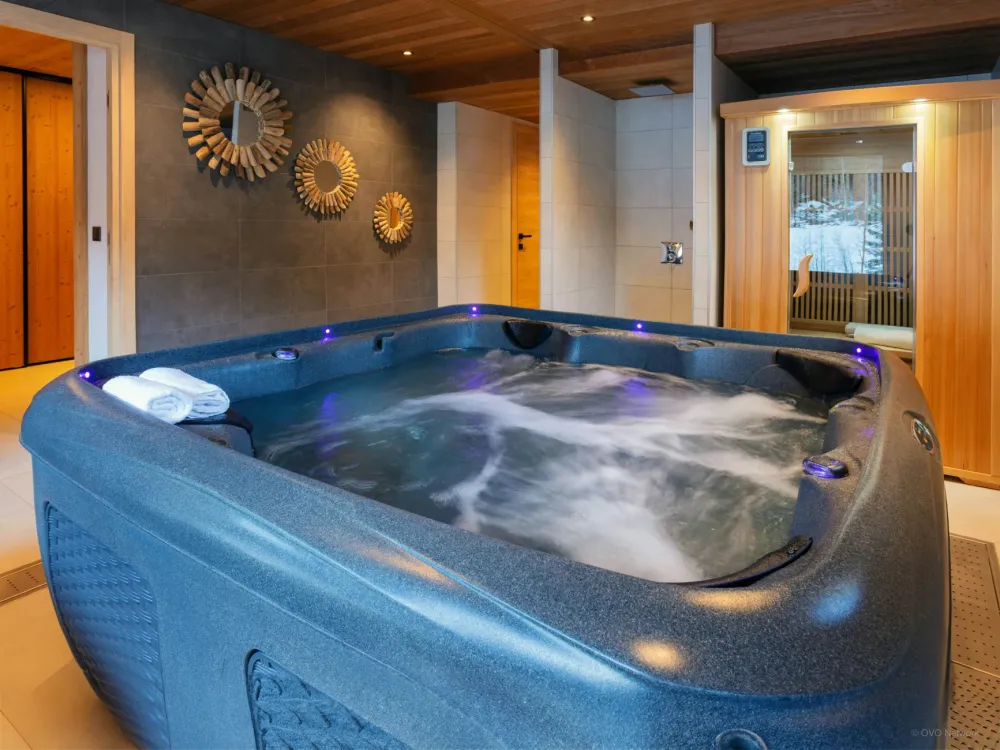 Jacuzzi et Sauna