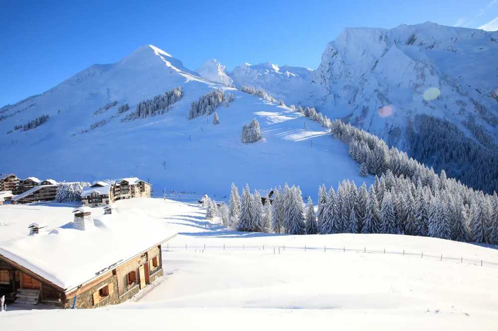 Accès aux pistes de Manigod - La Clusaz directement depuis le chalet. Téléski situé à 80m.