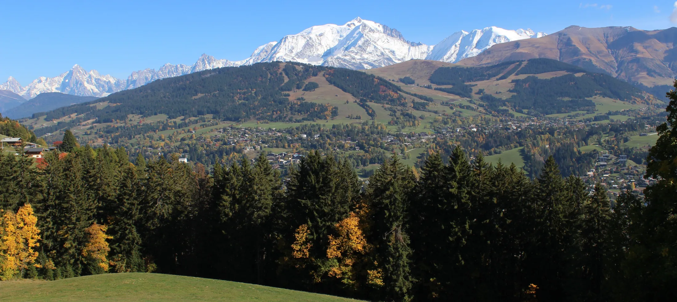 Insolite - alpage face au mont blanc