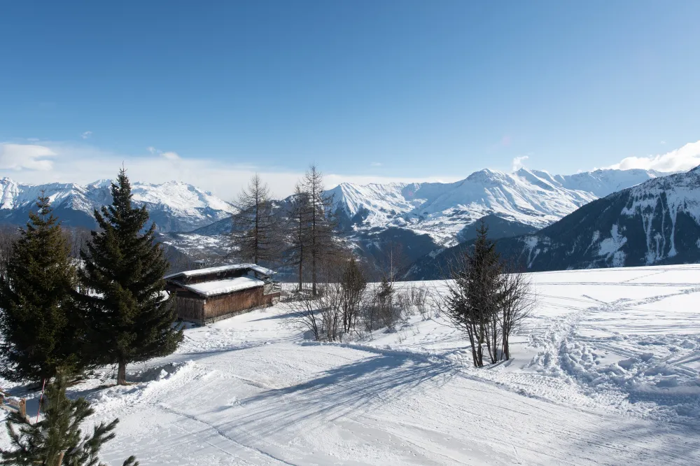 - piscine chaufée - pistes de ski à 100m - centre à 500m