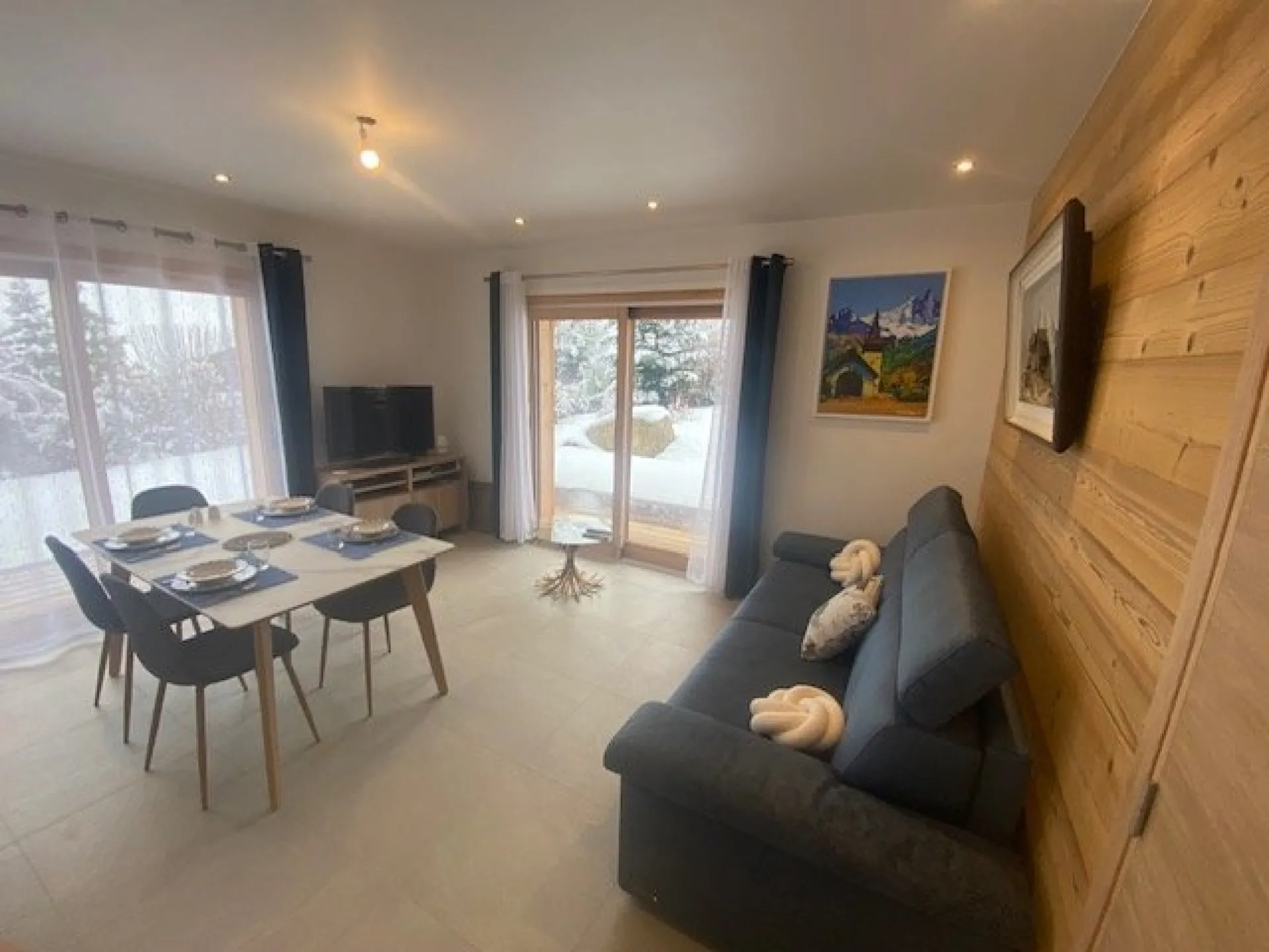 Séjour très clair en rez de jardin, ouvrant sur une grande terrasse. canapé convertible très confortable largeur 160 cm.