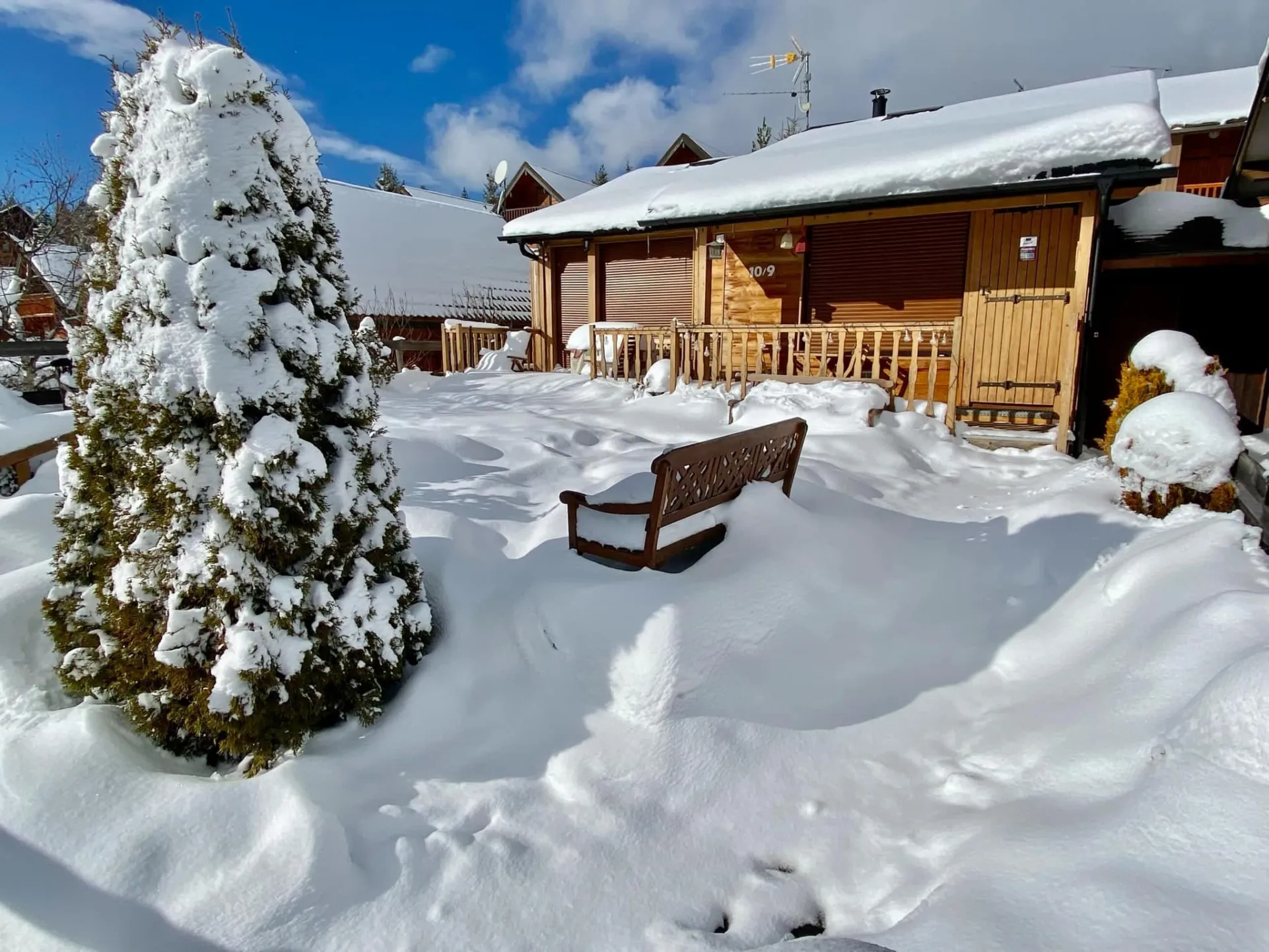 Première neige mois de décembre 2024