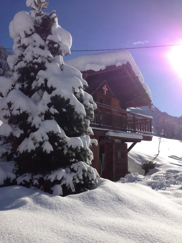 Le petit chalet du praz