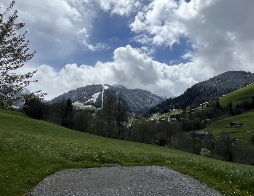 Le petit chalet du praz