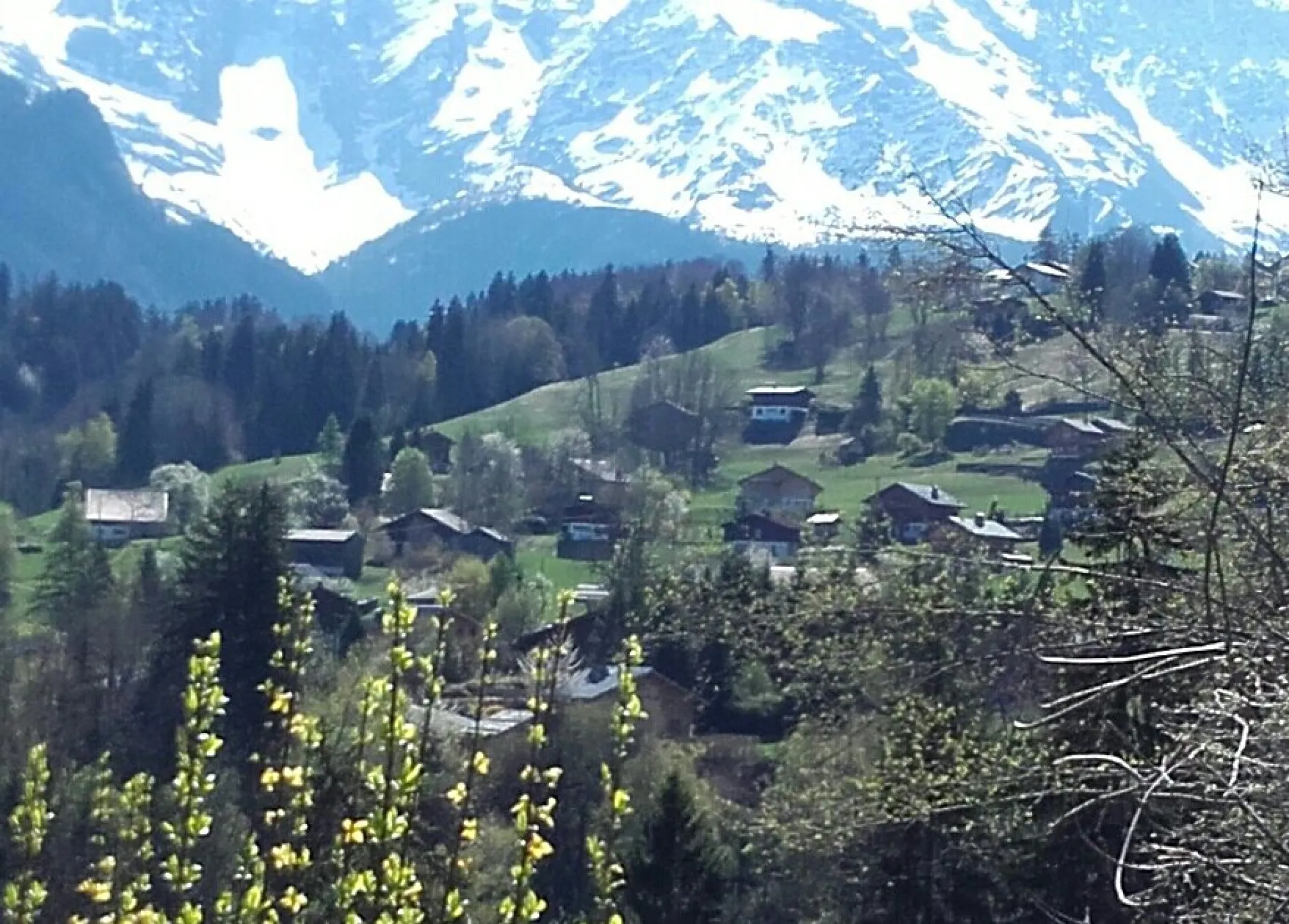 Passe-montagne