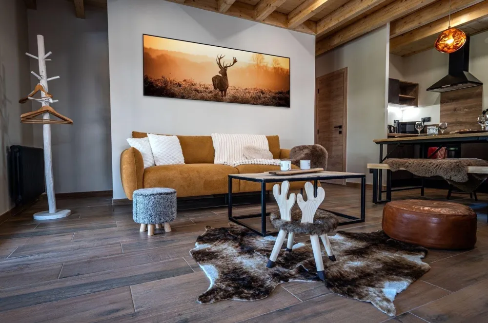 Living room and télévision area