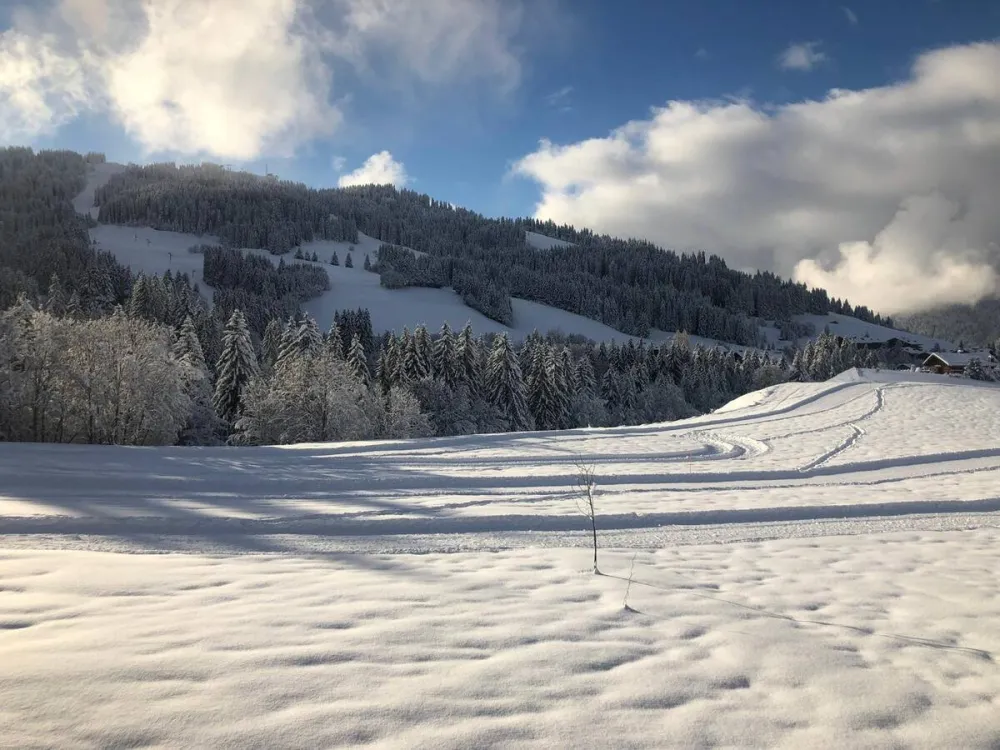 Amateurs de randonnée ou de ski de fond ? Partez directement depuis le chalet et découvrez les magnifiques paysages.