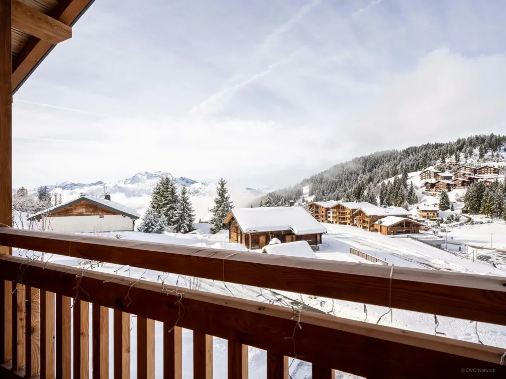 Vue d'hiver
