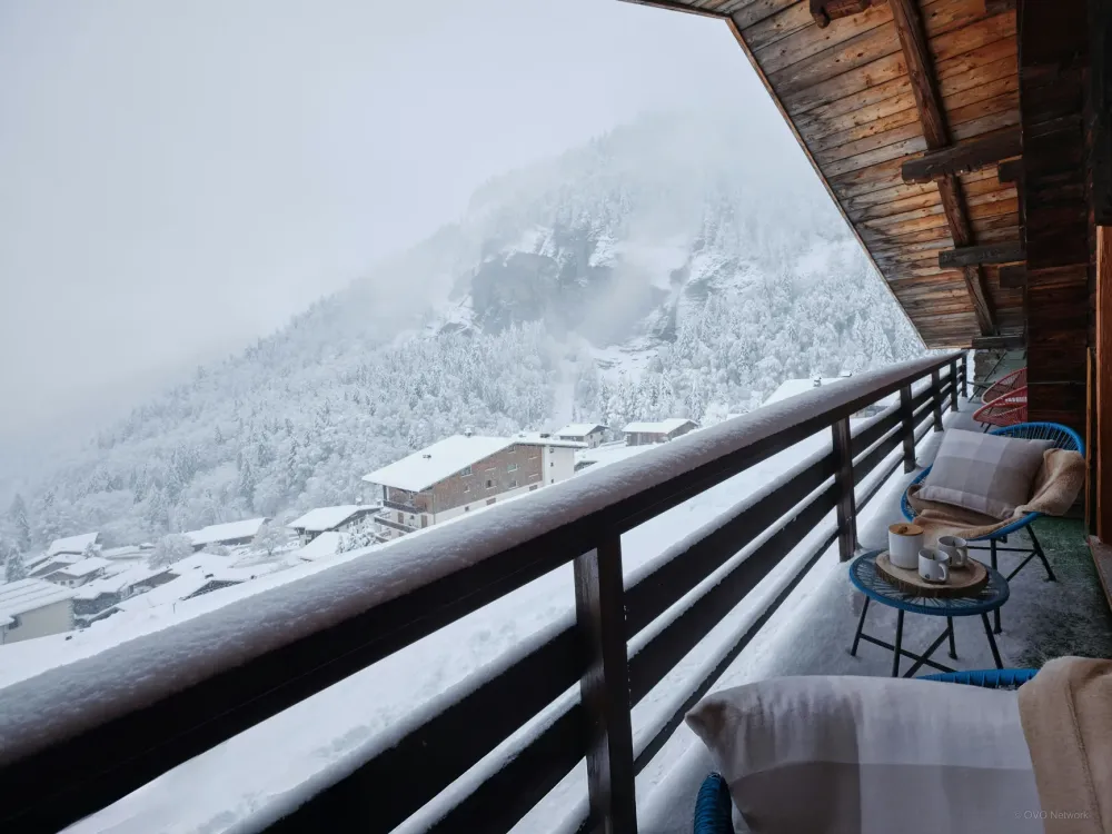 Vue d'hiver
