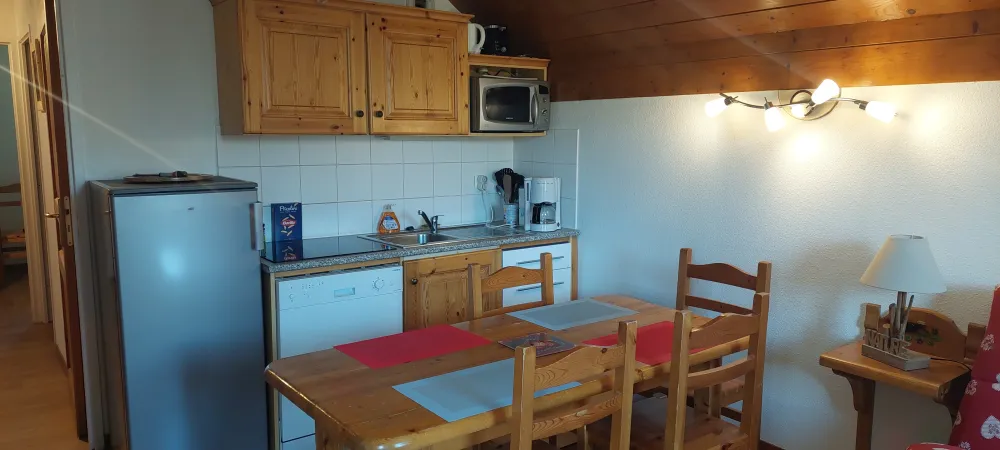 Appartement 48 m2 - 6/8 couchages - les sybelles