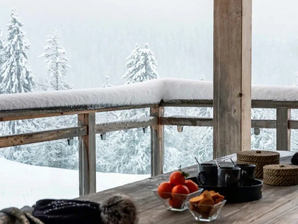 Balcon et vue d'hiver