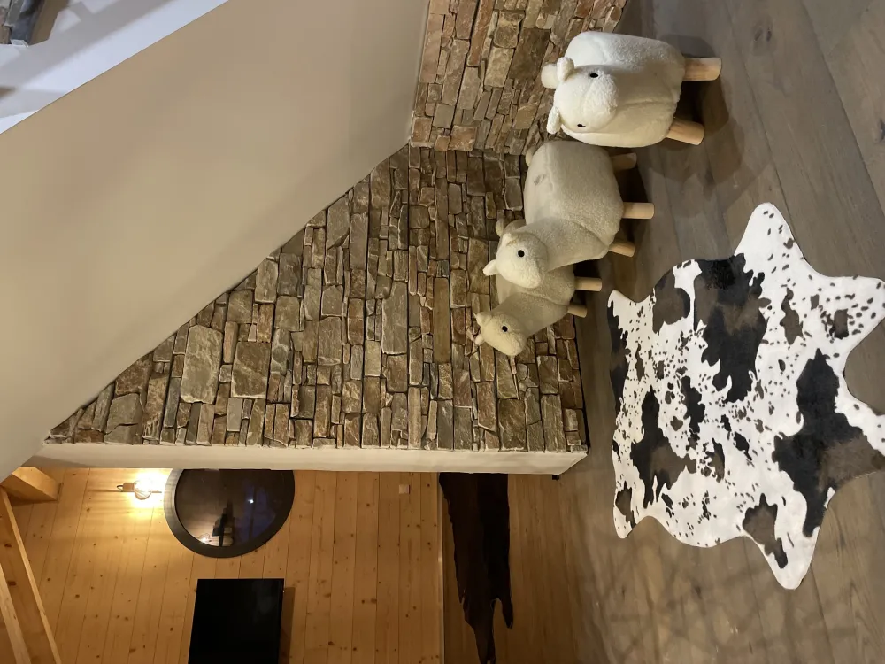 Chalet chaleureux 24 personnes  à la joue du loup
