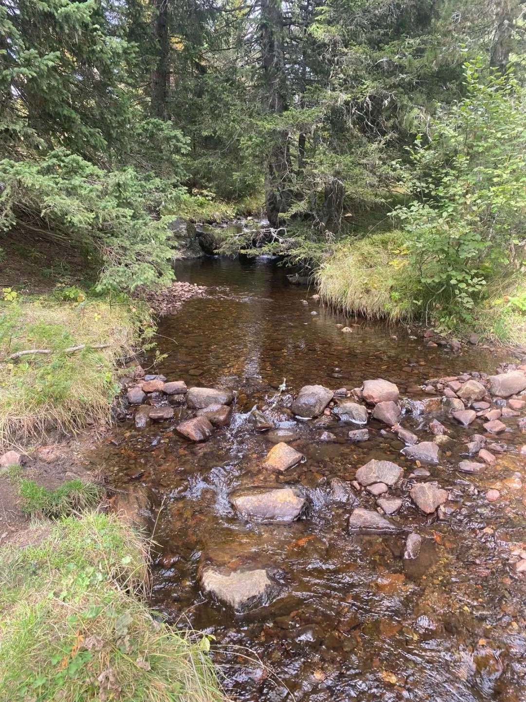 Le refuch