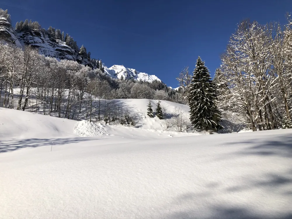 VUE SUR LES FALAISES ET LES MONTAGNES DU BORD DU TORRENT EN CONTREBAS DU CHALET