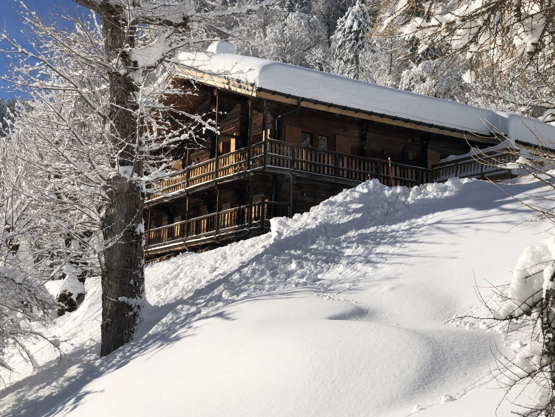 VUE SUR LE CHALET DU CHEMIN D’ARRIVÉE  - JANVIER 2026   