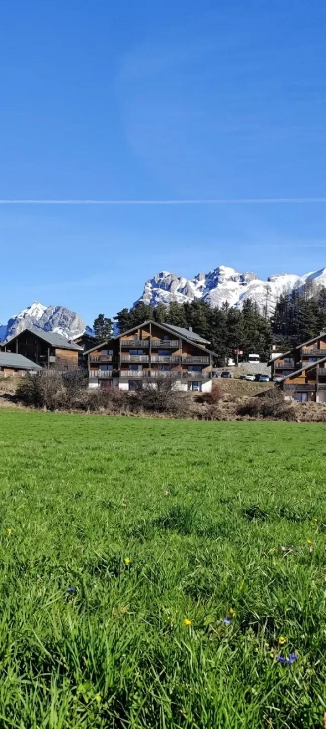 P3 la joue du loup