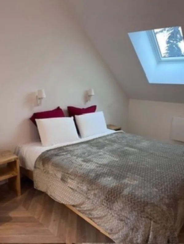 Quartz – cocon duplex 2 personnes, appartement dans une maison de village rénovée, vue meije & skiroom équipé