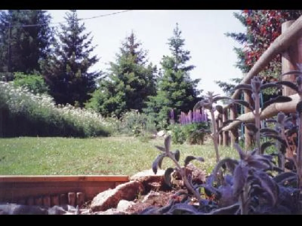 Le jardin