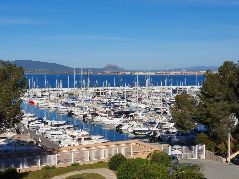 Vue de la terrasse le jour