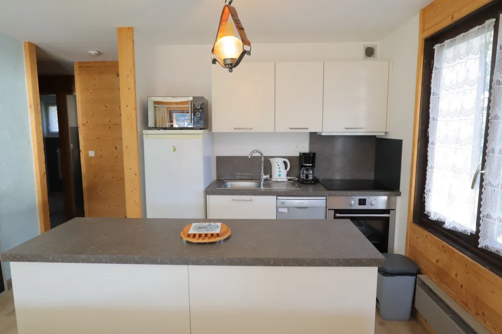 Appartement 1 chb + cm -  49 m2 - 4/6 pers. centre