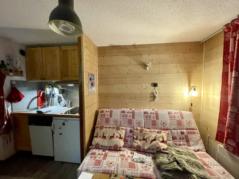 Appart chaleureux avec terrasse 30 m2 plein sud - les saisies