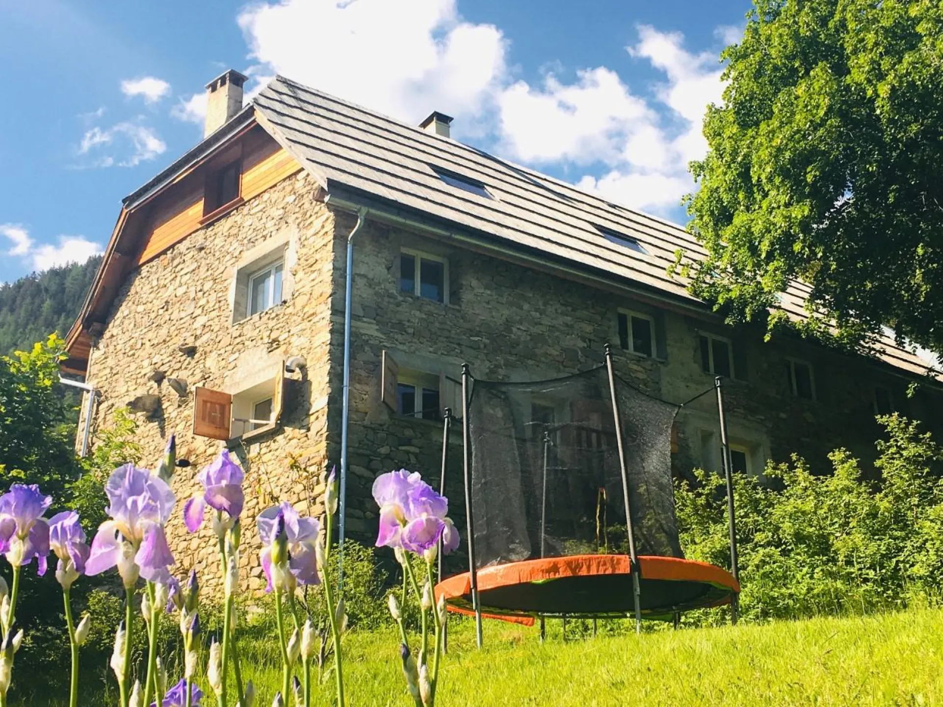Coté jardin en été (trampoline ,balançoire et cabane enfant)