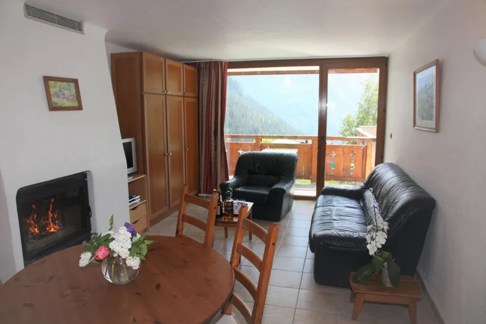 Séjour coté terrasse, cheminée et lit double abattant à gauche. 