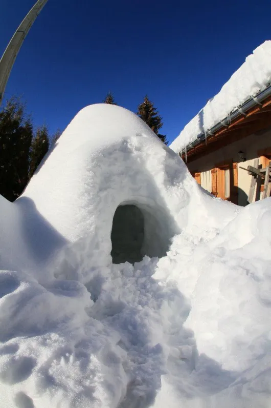 Les chamois - piscine chauffée (été) piste de luge (hiver)