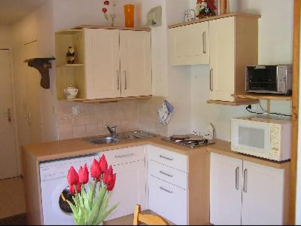 Appartement t2, 29 m², au pied des pistes, en résidence.