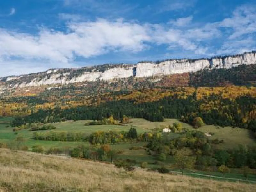 Vue générale de la propriété