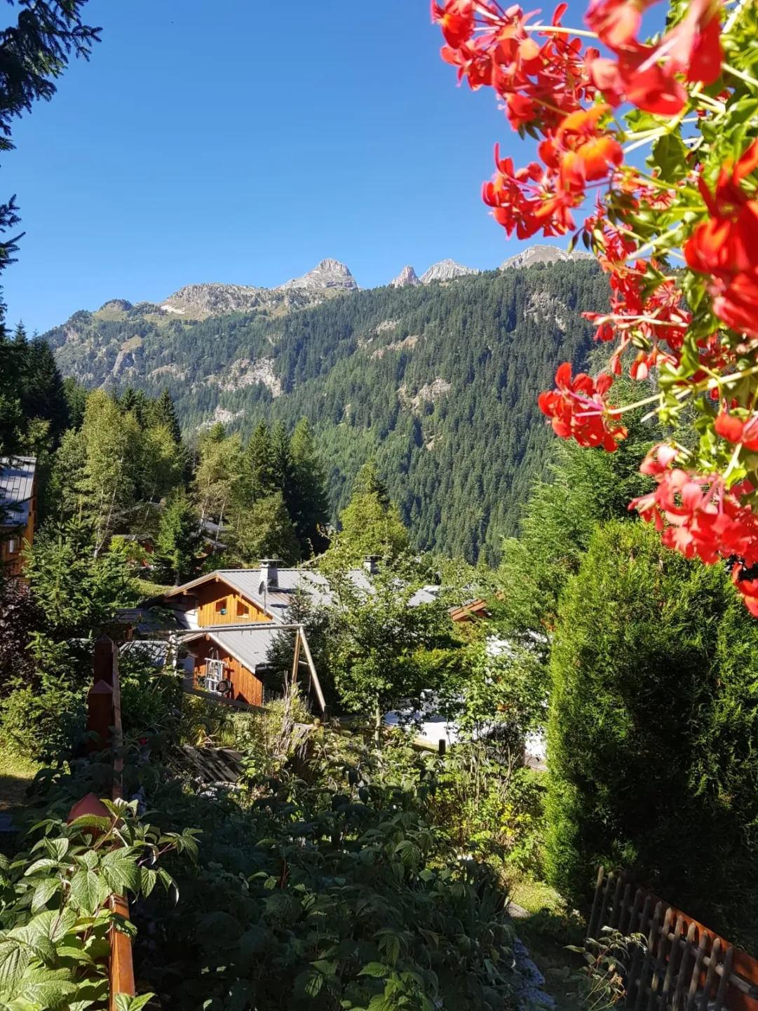 Vue depuis la terasse