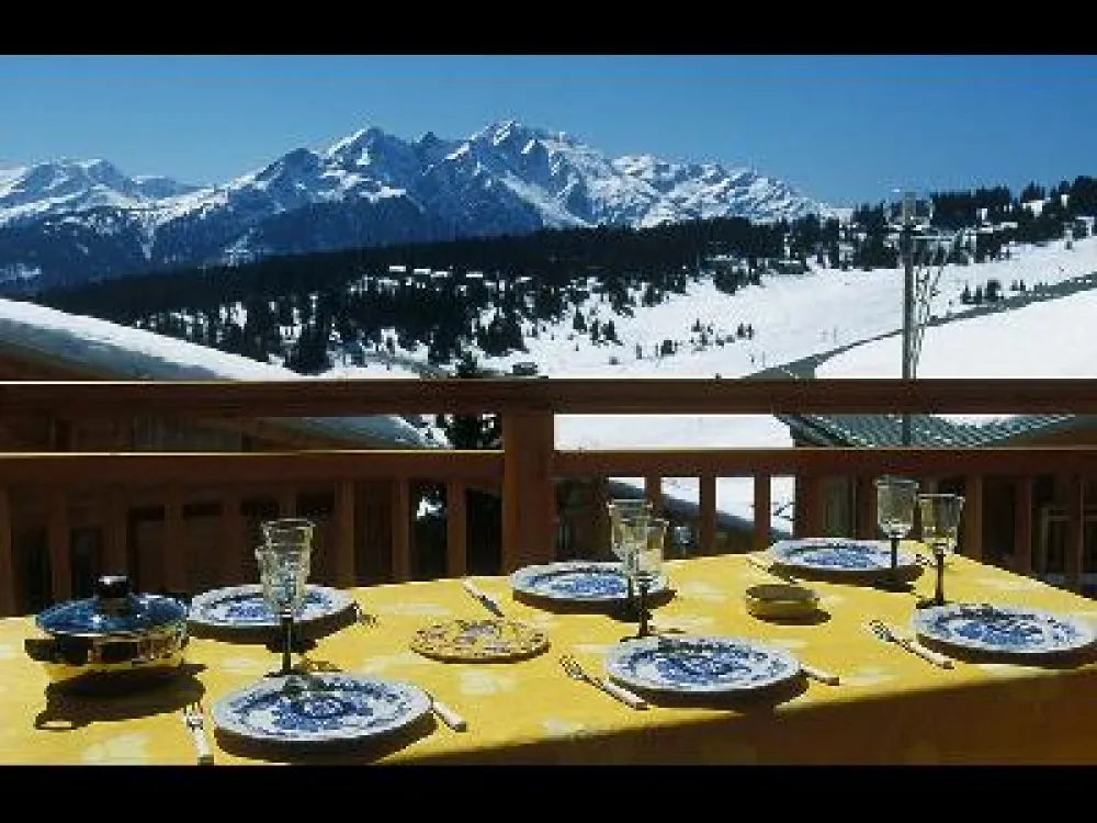terrasse en partie privative, à votre disposition: table fer et chaises bois , parassol, fauteuils pliants.