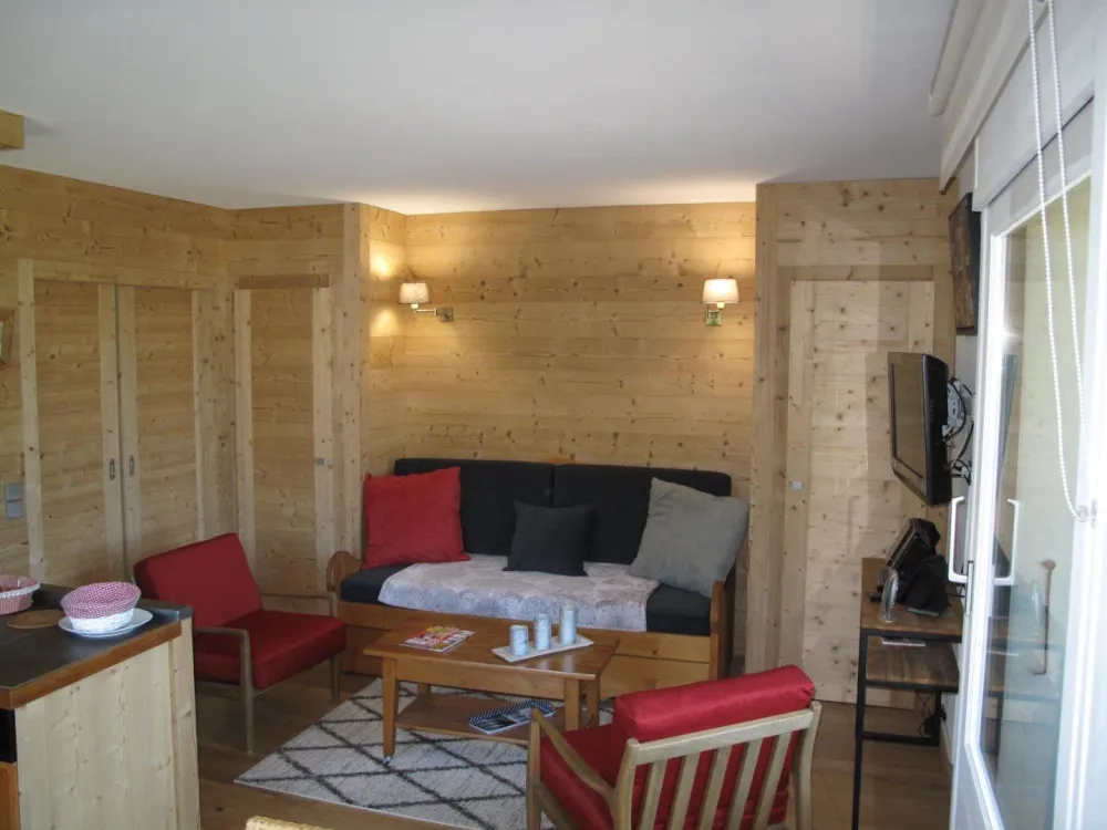 Equipements séjour : 
Un canapé, deux fauteuils, TV, enceinte Bluetooth Bose, chargeur iPhone.
Décoration régulièrement changée pour un style actuel.
Placard avec penderie

