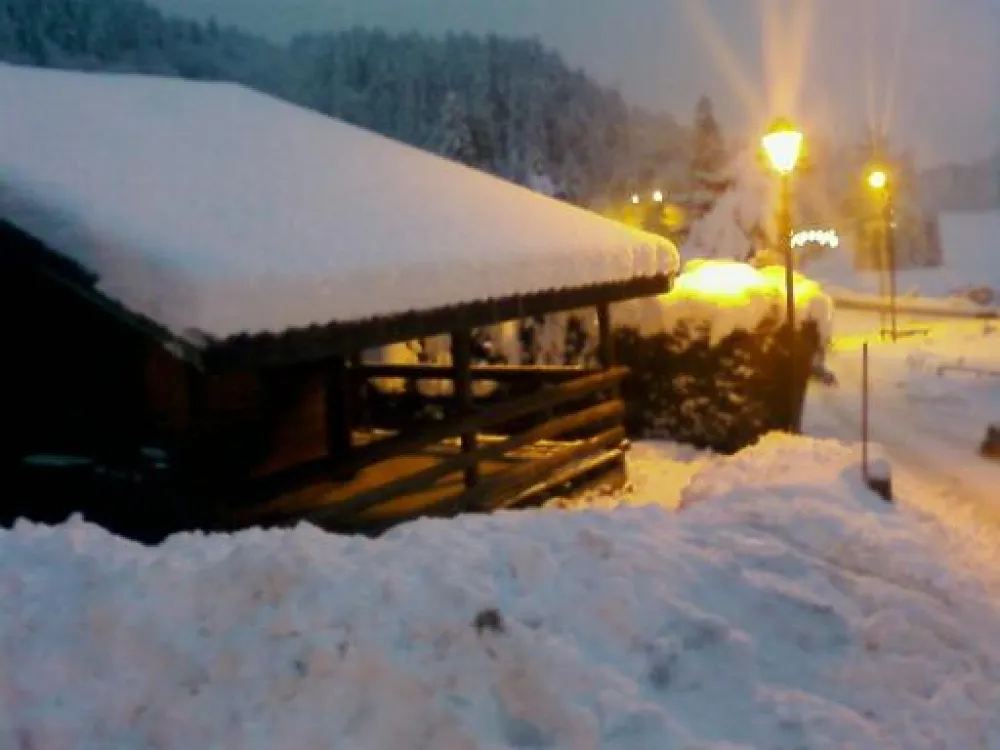 Véritable petit chalet savoyard en madriers