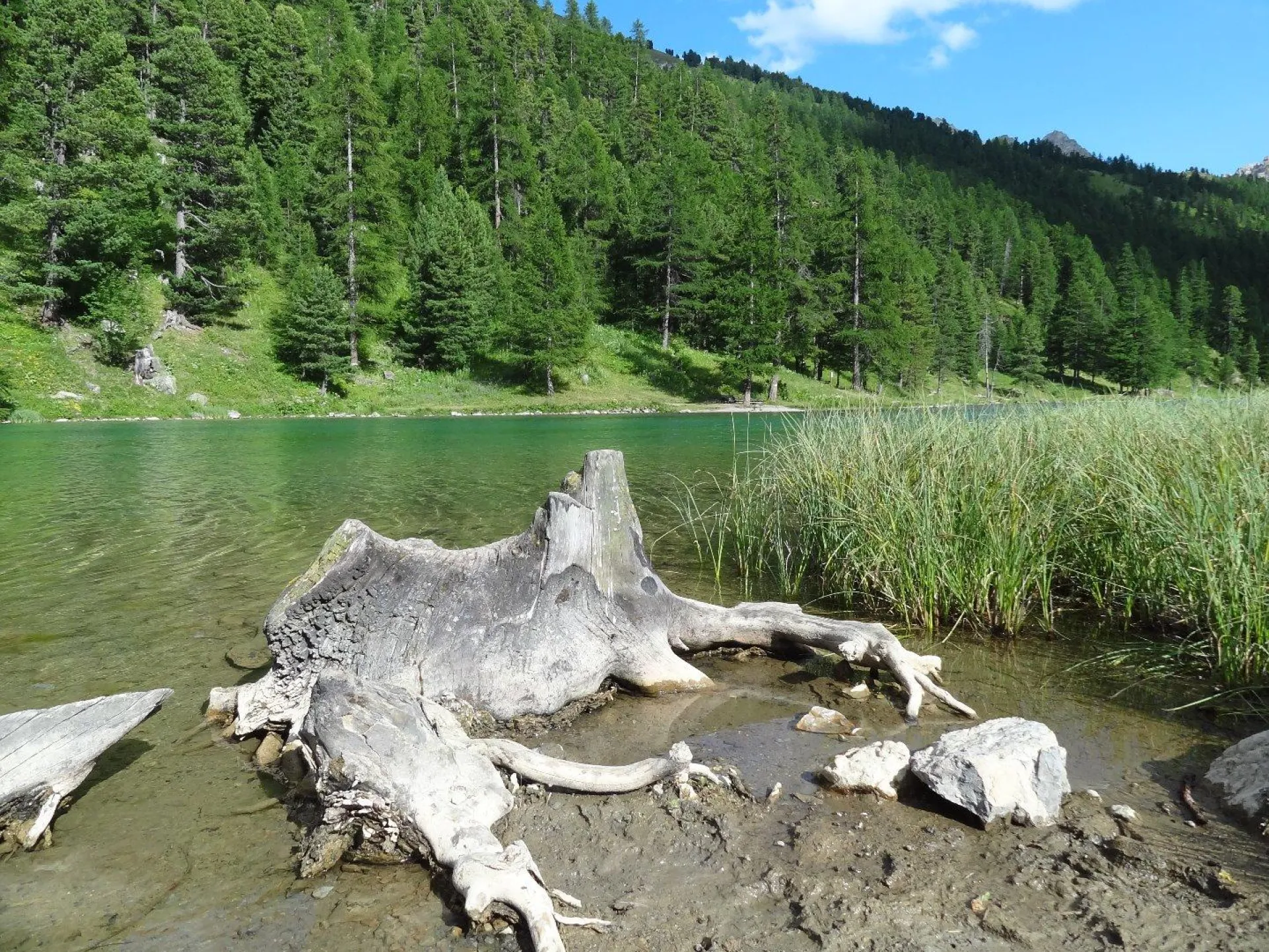 Lacs et forets sont à proximité 